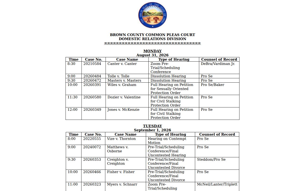 Brown County court schedule Domestic Relations weekly docket interface